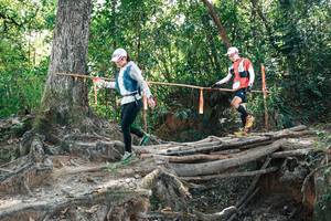 BIB: 
                            <button type="button" onclick="openModal(27745880)" class="btn btn-primary btn-sm float-right btn-popup" data-toggle="modal" data-target=".modal-high-quality">
                        <i class="fas fa-shopping-cart"></i> Add to Cart
                    </button>
                                            <button type="button" onclick="isThisMe(27745880, true)" class="btn btn-success btn-sm float-right btn-popup btn-isme hidden" data-toggle="tooltip" data-placement="bottom" title="นี่คือรูปของคุณใช่ไหม คลิกที่นี่เพื่อเอาเข้าอัลบั้ม">
                        <i class="fas fa-plus"></i> Add to album
                    </button>
                    <button type="button" onclick="isThisMe(27745880, false)" class="btn btn-warning btn-sm float-right btn-popup btn-isnotme hidden">
                        <i class="fas fa-ban"></i> Remove from album
                    </button>